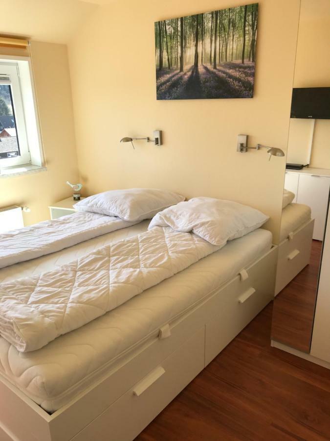Lejlighed Ferienwohnung Jule Braunlage
